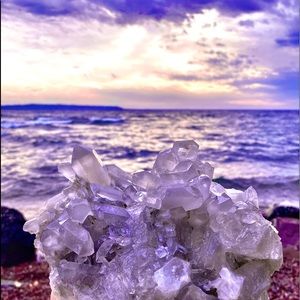 Meet your Posher, Kenzie